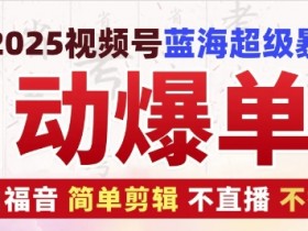 2025视频号蓝海超级暴利自动爆单术1.0 ，小白褔音 简单剪辑 不直播 不挂车-天天学吧