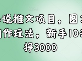 小说推文项目，图文创作玩法，新手10天挣3000-天天学吧