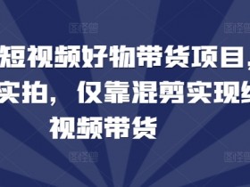 2024短视频好物带货项目，无需实拍，仅靠混剪实现纯视频带货-天天学吧