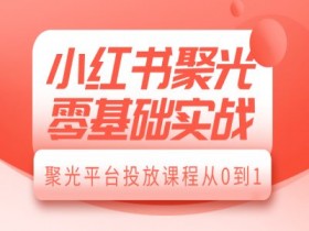 小红书聚光零基础实战，聚光平台投放课程从0到1-天天学吧