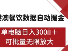 港澳数据全自动掘金，单电脑日入5张，可矩阵批量无限操作【仅揭秘】-天天学吧