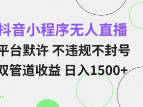 抖音小程序无人直播 平台默许 不违规不封号 双管道收益 日入多张 小白也能轻松操作【仅揭秘】-天天学吧