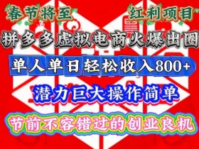 春节将至，拼多多虚拟电商火爆出圈，潜力巨大操作简单，单人单日轻松收入多张【揭秘】-天天学吧