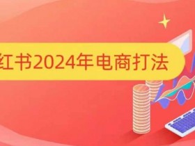 小红书2024年电商打法，手把手教你如何打爆小红书店铺-天天学吧