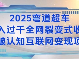 2025弯道超车日入过K全网裂变式收益打破认知互联网变现项目【揭秘】-天天学吧