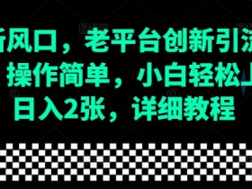 流量新风口，老平台创新引流隐藏玩法，操作简单，小白轻松上手，日入2张，详细教程-天天学吧