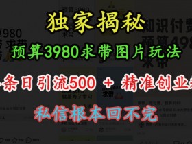 预算3980求带 图片玩法，单条日引流500+精准创业粉，私信根本回不完-天天学吧