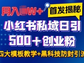 首发揭秘小红书私域日引500+创业粉四大模板，月入过W+全程干货!没有废话!保姆教程!-天天学吧