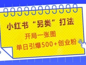 小红书“另类”打法，开局一张图，单日引爆500+精准创业粉【揭秘】-天天学吧