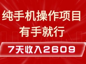 纯手机操作的小项目，有手就能做，7天收入2609+实操教程【揭秘】-天天学吧