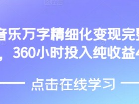 AI音乐精细化变现完整教程，360小时投入纯收益4W-天天学吧