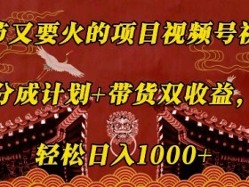 春节又要火的项目视频号祝福，分成计划+带货双收益，轻松日入几张【揭秘】-天天学吧