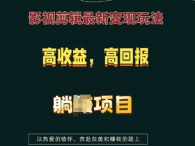 影视剪辑最新变现玩法，高收益，高回报，躺Z项目【揭秘】-天天学吧