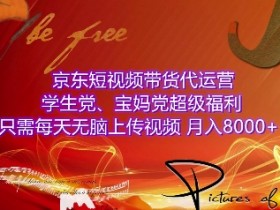 京东短视频带货代运营，学生党、宝妈党超级福利，只需每天无脑上传视频，月入8000+【仅揭秘】-天天学吧