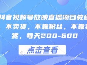 快手抖音视频号放映直播项目教程，不违规，不卖货，不靠粉丝，不靠礼物打赏，每天200-600-天天学吧