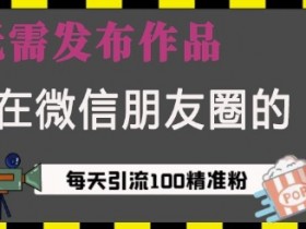 藏在微信朋友圈的流量密码，无需发布作品，单日引流100+精准创业粉【揭秘】-天天学吧