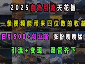 2025自热引流天花板，一条视频能带来四位数的收益，引流+变现双管齐下，日引500+创业粉，涨粉嘎嘎猛-天天学吧