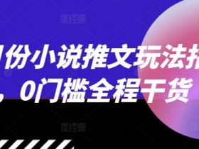 12月份小说推文玩法指南，0门槛全程干货-天天学吧