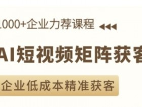 AI短视频矩阵获客实操课，企业低成本精准获客-天天学吧