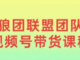 狼团联盟2024视频号带货，0基础小白快速入局视频号-天天学吧