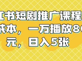 小红书短剧推广课程，0成本，一万播放80元，日入5张-天天学吧