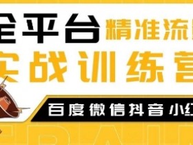 全平台精准流量实战训练营，百度微信抖音小红书SEO引流教程-天天学吧