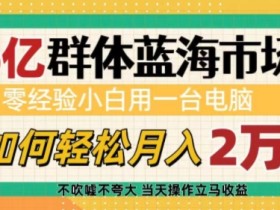 6亿群体蓝海市场，零经验小白用一台电脑，如何轻松月入过w【揭秘】-天天学吧