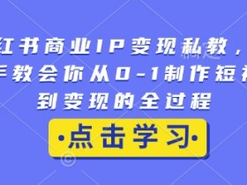 小红书商业IP变现私教，手把手教会你从0-1制作短视频到变现的全过程-天天学吧