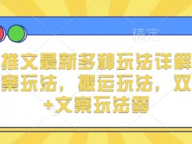 小说推文最新多种玩法详解，实况文案玩法，搬运玩法，双图片+文案玩法等-天天学吧