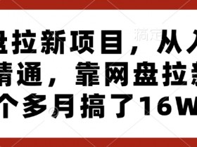 网盘拉新项目，从入门到精通，靠网盘拉新3个多月搞了16W-天天学吧