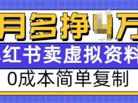 小红书虚拟资料项目，0成本简单复制，每个月多挣1W【揭秘】-天天学吧