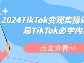 2024TikTok变现实操课程，入局TikTok必学内容-天天学吧