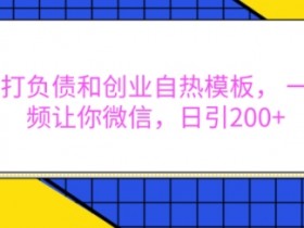 抖音打负债和创业自热模板， 一套视频让你微信，日引200+【揭秘】-天天学吧