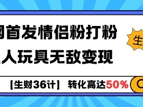 【生财36计】全网首发情侣粉打粉+大人玩具无敌变现-天天学吧