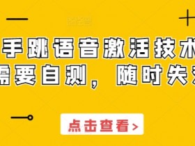 快手跳语音激活技术，需要自测，随时失效-天天学吧