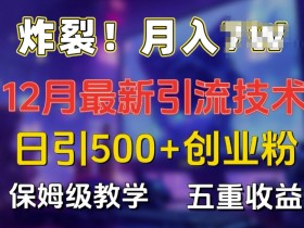 炸裂!揭秘12月最新日引流500+精准创业粉，多重收益保姆级教学-天天学吧