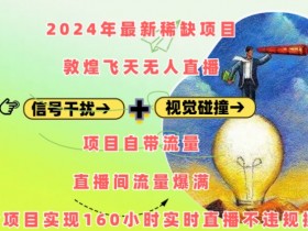 2024年最新稀缺项目敦煌飞天无人直播，项目自带流量，流量爆满，实现160小时实时直播不违规操-天天学吧