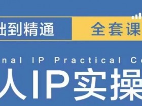 操盘手思维、个人IP、MCN孵化打造千万粉丝IP的运营方法论-天天学吧