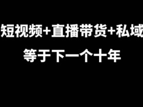 短视频+直播带货+私域等于下一个十年，大佬7年实战经验总结-天天学吧