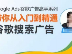 Google Ads谷歌广告高手 – 搜索广告，带你从入门到精通谷歌搜索广告-天天学吧