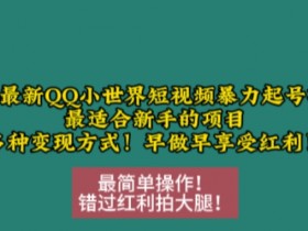 12月最新QQ小世界短视频暴力起号项目，最适合新手的项目，多种变现方式-天天学吧