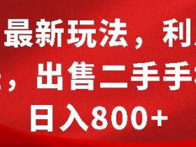 闲鱼最新玩法，利用信息差，出售二手手机，日入8张【揭秘】-天天学吧