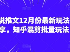 小说推文12月份最新玩法分享，知乎混剪批量玩法-天天学吧