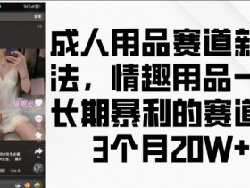 成人用品赛道新玩法，情趣用品一个长期暴利的赛道，3个月收益20个【揭秘】-天天学吧