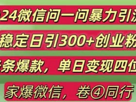 2024最新微信问一问暴力引流300+创业粉,条条爆款单日变现四位数【揭秘】-天天学吧