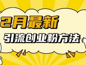 12月最新引流创业粉方法，方法非常简单，适用于多平台-天天学吧