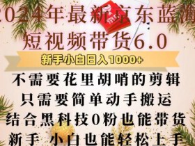 最新京东蓝海短视频带货6.0.不需要花里胡哨的剪辑只需要简单动手搬运结合黑科技0粉也能带货【揭秘】-天天学吧