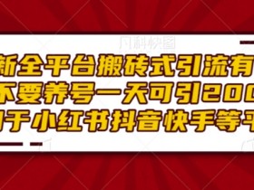 最新全平台搬砖式引流有手就行不要养号一天可引200+项目粉适用于小红书抖音快手等平台-天天学吧