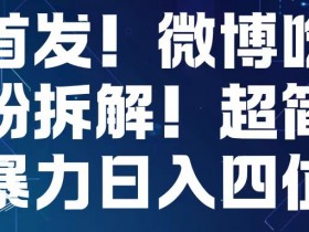 首发！微博吃瓜粉引流变现拆解，日入四位数轻轻松松【揭秘】-天天学吧