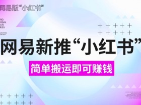 网易官方新推“小红书”，搬运即有收益，新手小白千万别错过(附详细教程)【揭秘】-天天学吧